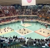 The Origin and Meaning of Martial Arts Demonstrations in Japan